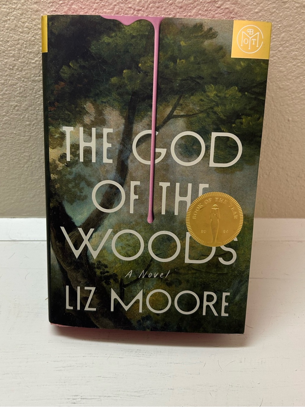 The God of the Woods by Liz Moore - Hardcover